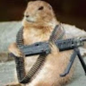 Meet your Posher, Ricky